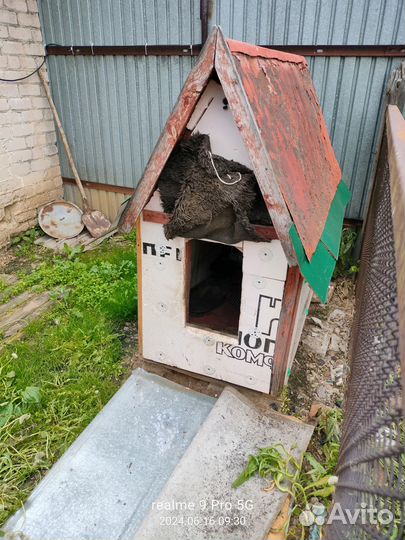 Продам собачью будку