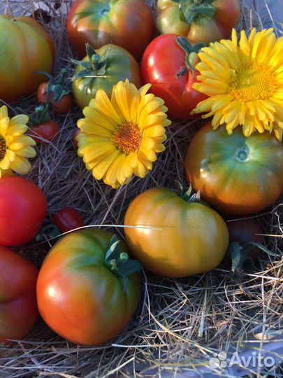 Фотограф маркетплейсов