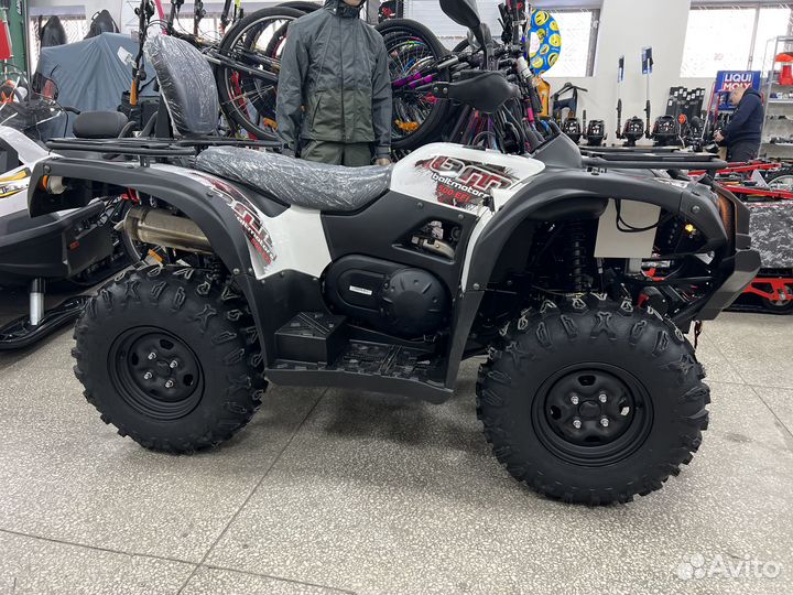 Baltmotors Striker 500 EFI