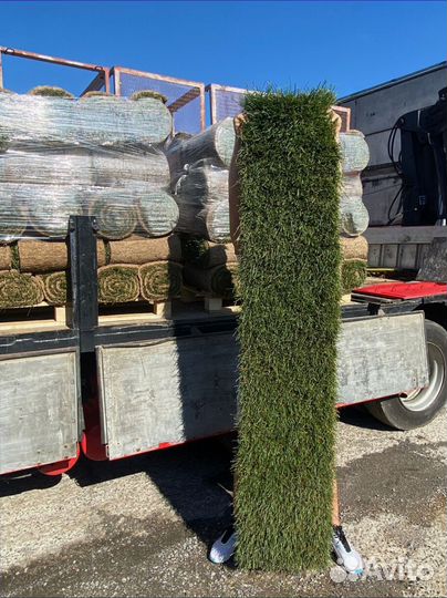 Рулонный газон, укладка под ключ, продажа