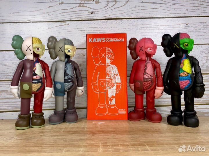Kaws Anatomy