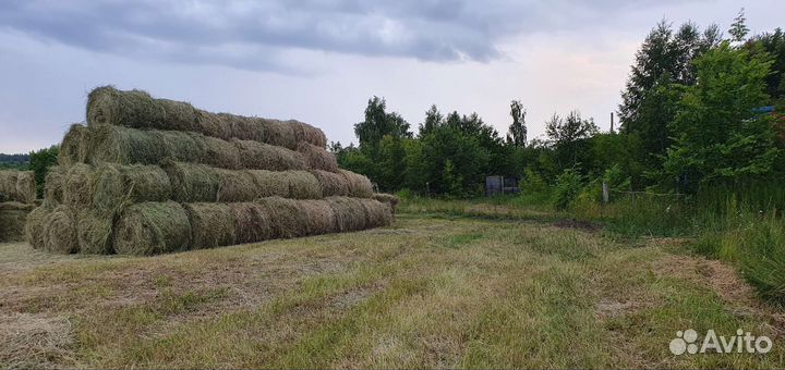 Сено в рулонах