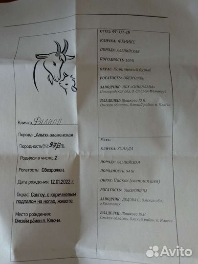 Козёл альпийский