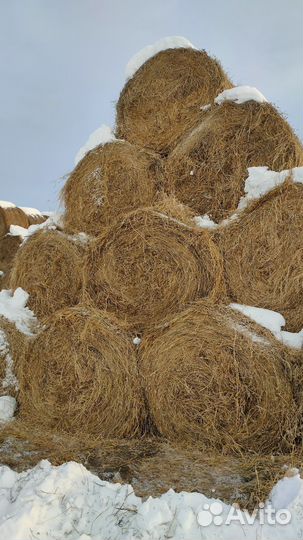 Сено в рулонах