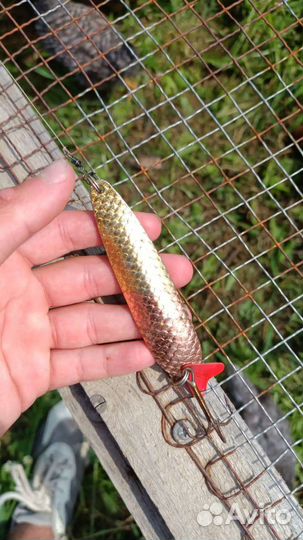 Спиннинг на щуку