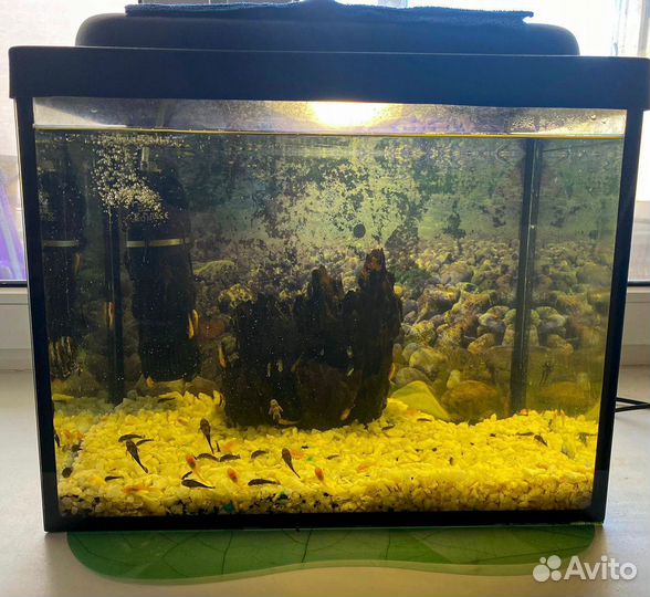 Аквариум 35 литров