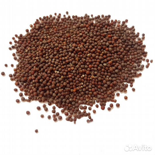 Семена для микрозелени