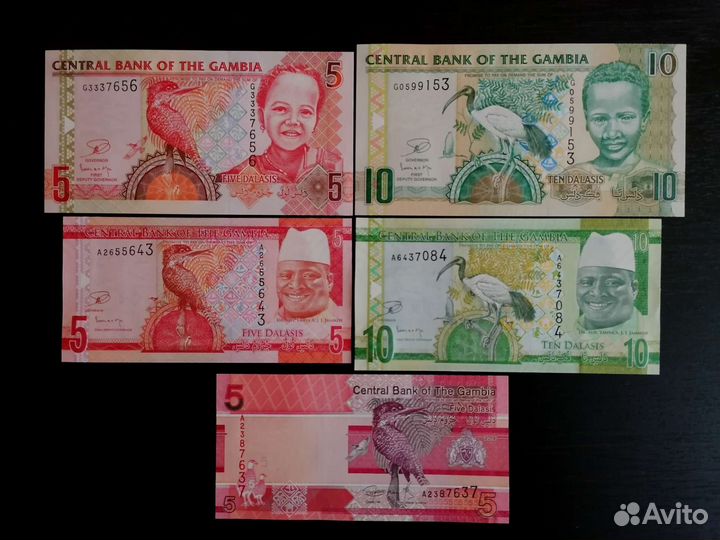 Гамбия,Гондурас,Гайана,Гвинея, Гана,Бурунди и др