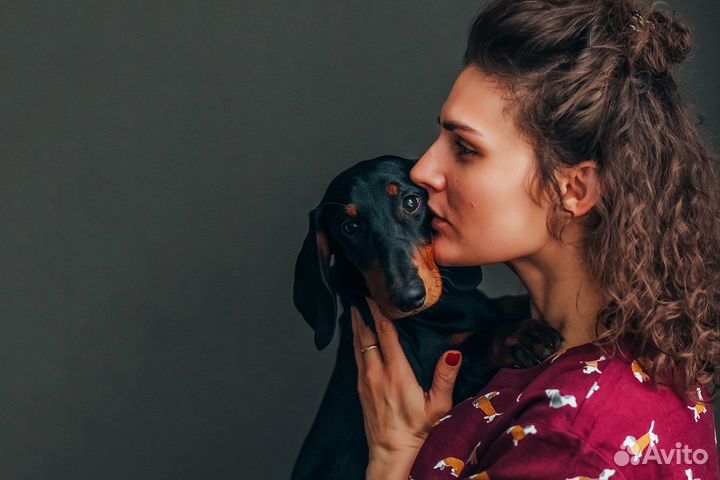 Кинолог. Дрессировка,Коррекция,Воспитание