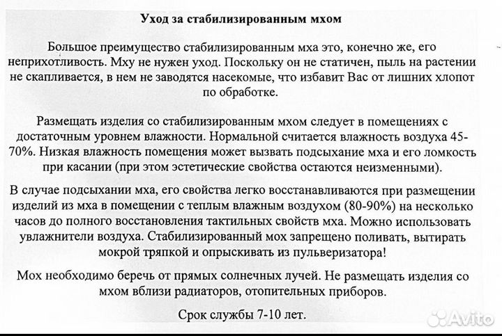 Панно из стабилизированного мха Африка, 3 шт