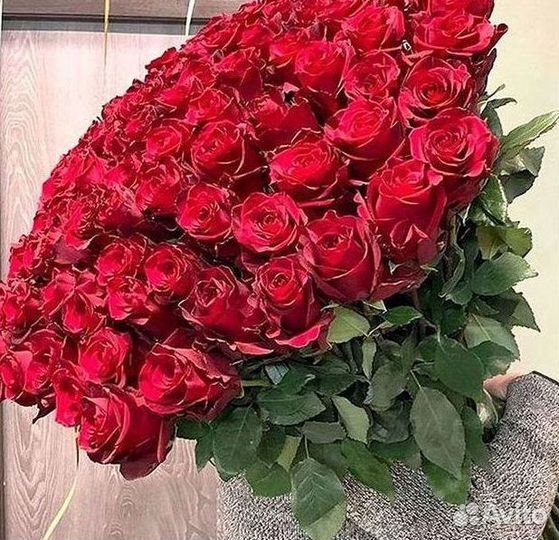 Высокие розы Гигантские розы 110
