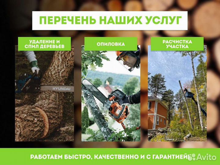 Спилить дерево, опиловка дерева, обрезать ветки