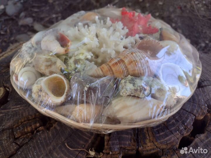 Декор ракушки корзинка