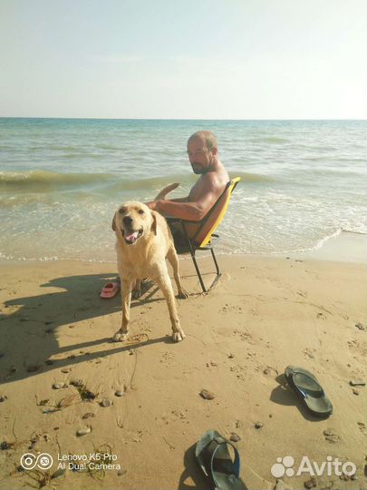 Аренда инструмента