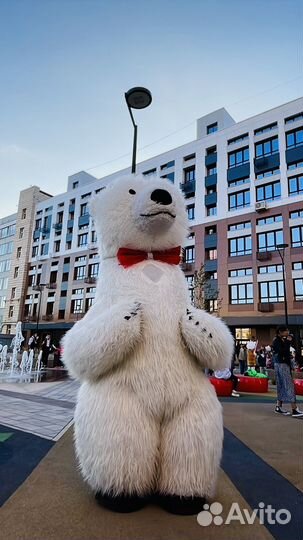 Ростовые мишки Умка и Барни.Поздравления