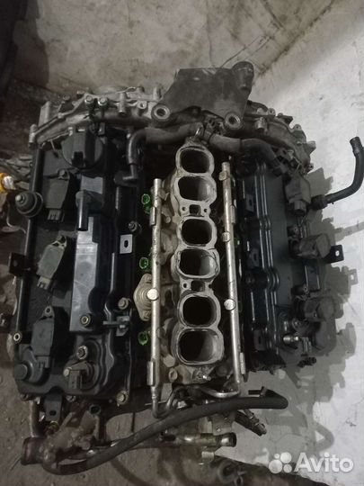 Двигатель нисан Тиана 3,5 j32