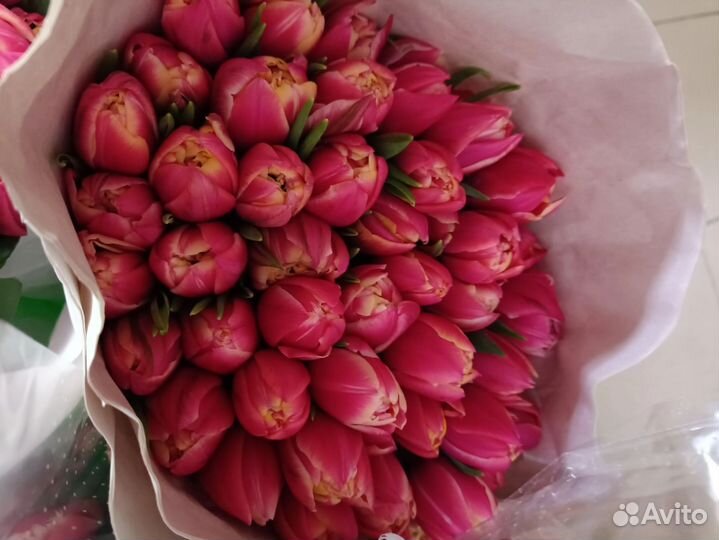 Тюльпаны к 8 марта