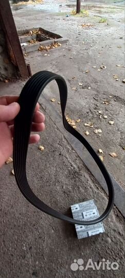 Ремень грм nissan juke