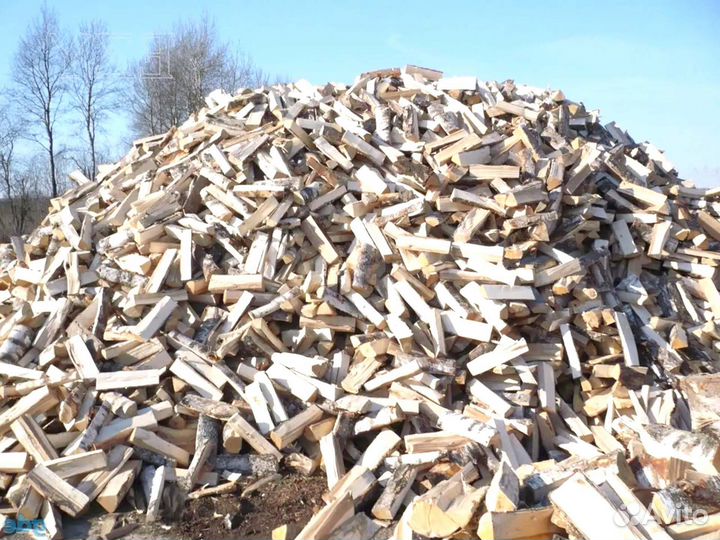 Дрова осиновые