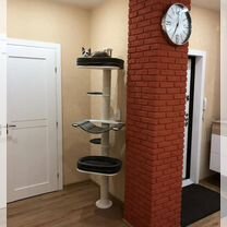 Когтеточка для кошек, Мытищи