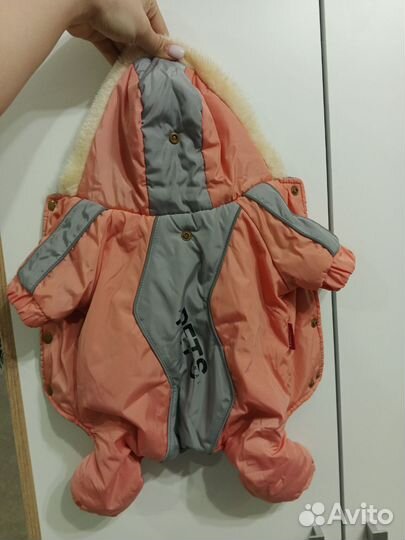 Одежда для средних собак