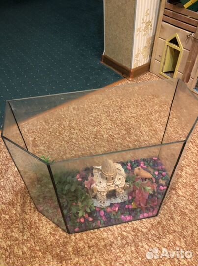 Аквариум бу