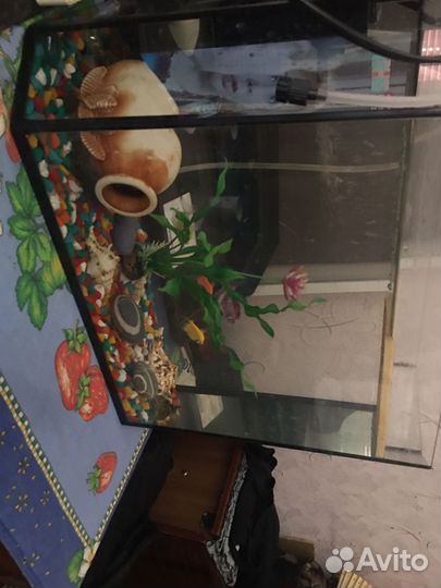 Аквариум с рыбками