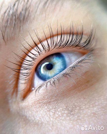 Ламинирование ресниц и бровей