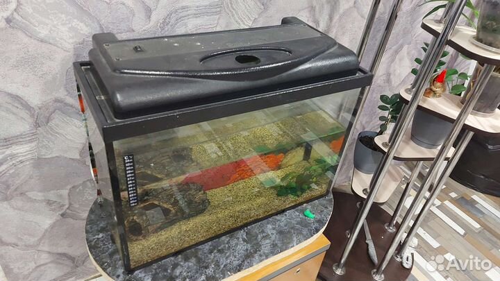 Аквариум 60л