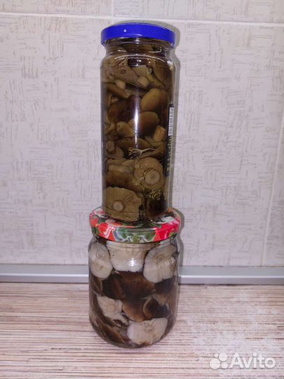 Грибы отборные маринованные