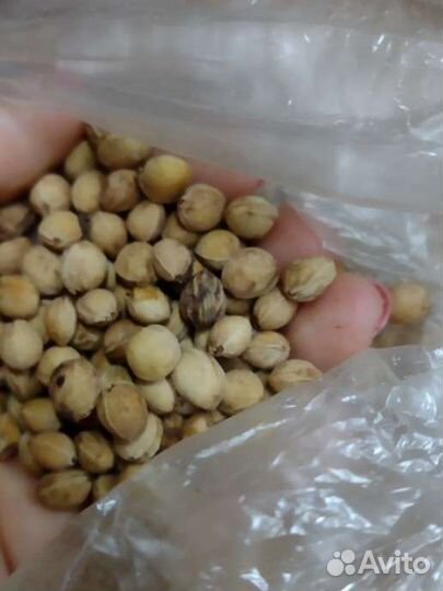 Вишневые косточки