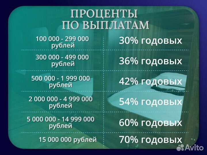 Бизнес инвестиции 30-70 годовых