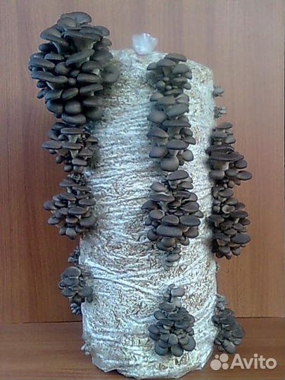 Перегной, мульча, субстрат