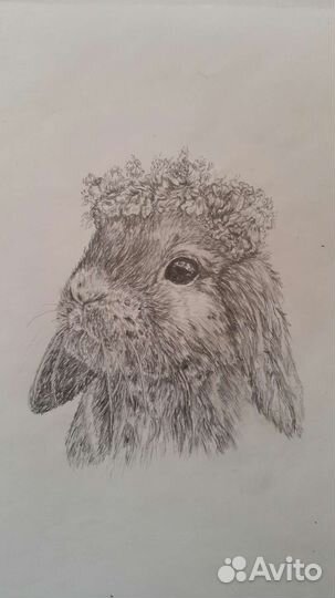Рисунок карандашом
