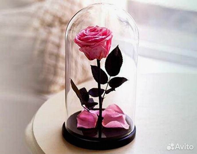 Роза в колбе. Стоит до 8 лет