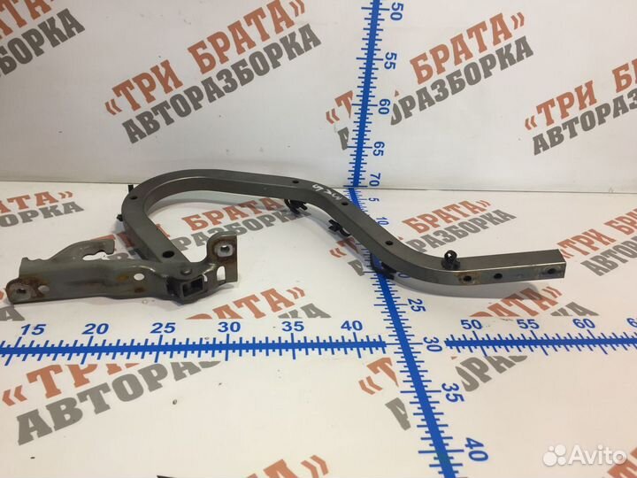 Хонда Цивик Петля багажника левая Лев