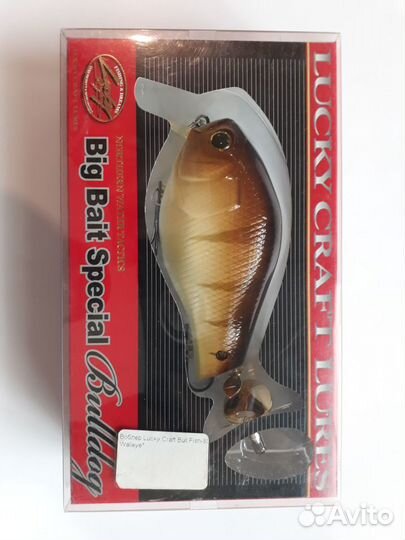 Lucky craft Big Bait Special - Bulldog