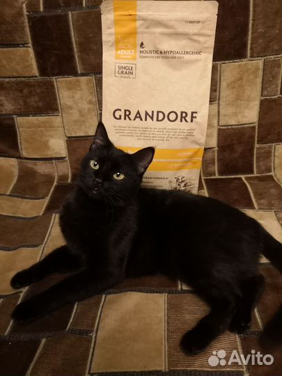 Корм для кошек сухой Grandorf 2кг