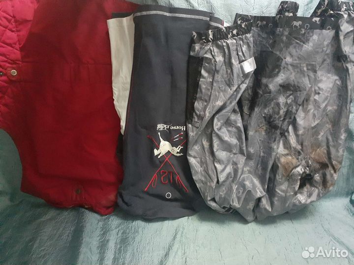 Одежда для конного спорта