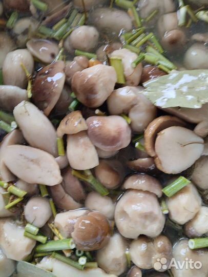 Грибы белые слабо маринованные 0.5