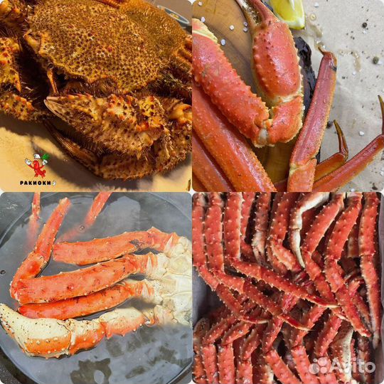 Живые волжские раки