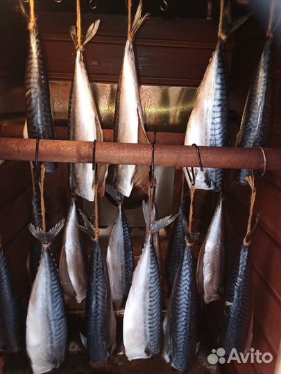 Коптильня холодного и горячего копчения, сушка/вял