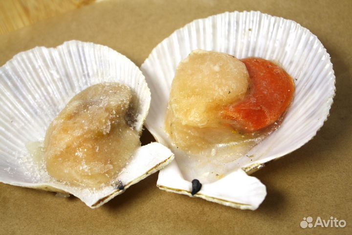 Гребешок на створке