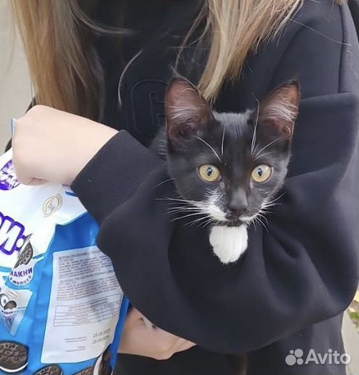 Кашка в дар