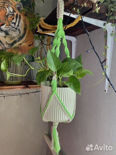 Подвес для цветов макраме