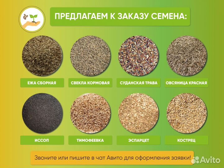 Семена газона элитного