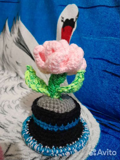 Интерьерные цветы