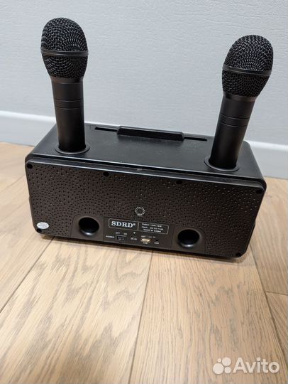 Караоке система беспроводная с двумя микрофонами