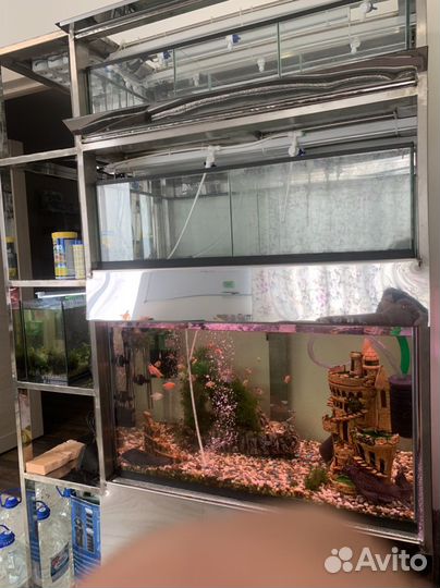 Аквариумные ферма из нержавейки