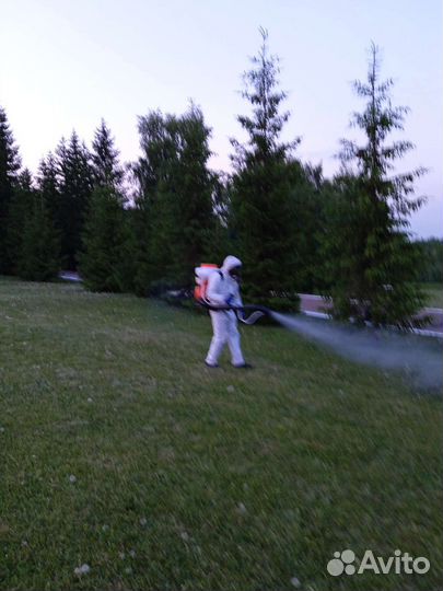 Дезинсекция